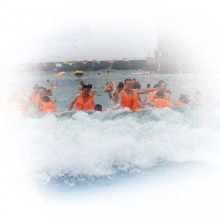 【河南專業(yè)人工造浪設(shè)備、人工造浪池 、造浪機(jī)設(shè)備圖片】河南專業(yè)人工造浪設(shè)備、人工造浪池 、造浪機(jī)設(shè)備圖片大全