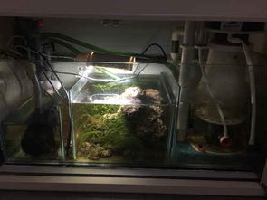 上岸清設備 福州魚友必備設備清單及養護建議